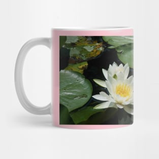 Water Lily Mug